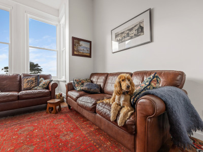 Pink walls and Pohutukawa dreams Pink walls and Pohutukawa dreams