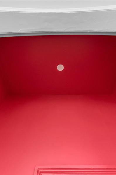 Pink walls and Pohutukawa dreams Pink walls and Pohutukawa dreams