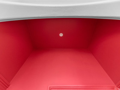 Pink walls and Pohutukawa dreams