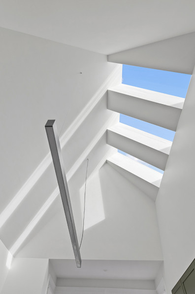 Pink walls and Pohutukawa dreams Pink walls and Pohutukawa dreams