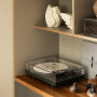 Shelving featuring walls in Resene Grey Olive