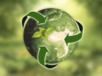 Celebrate World Ecolabel Day with a splash of Resene paint