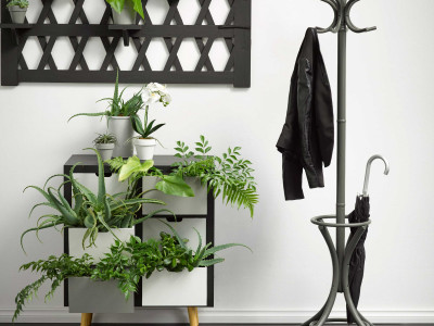 Five fun home renovations you can do in a long weekend Five fun home renovations you can do in a long weekend