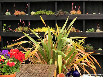 Five fun home renovations you can do in a long weekend Five fun home renovations you can do in a long weekend