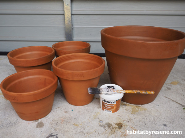 Sealing Terracotta Pots - Kippi at Home
