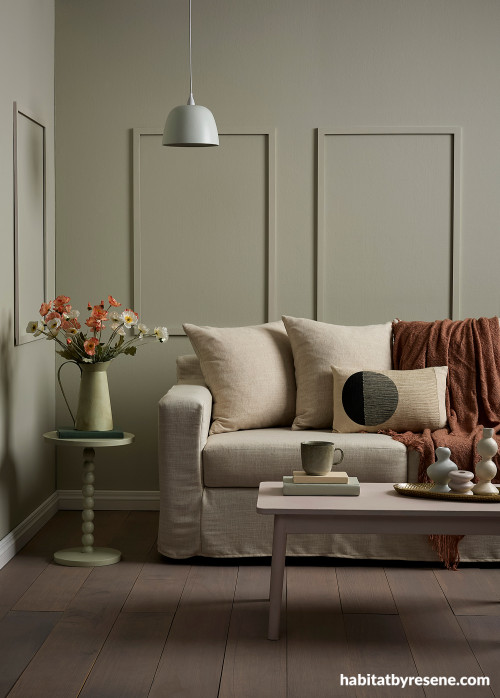 Living room featuring walls in Resene Kangaroo