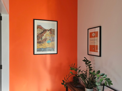 A colourful life in Clareville A colourful life in Clareville