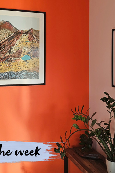 A colourful life in Clareville