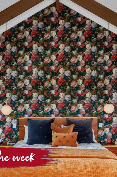 Charming colour, bold wallpaper and rolling hills in Kaiwaka