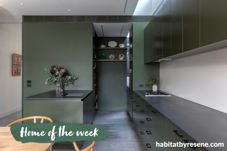 A dark green kitchen