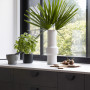 Vase and plant in kitchen painted white