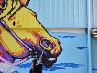 Student and artist collaborations splash two Victorian communities with colour