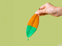 Product of the month: Resene plant-based paints 