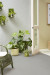 Colour Connection: How to create a harmonious space using colour