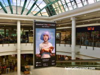 Article Photo