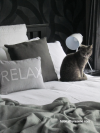 Cosy, paint ideas, paint trends