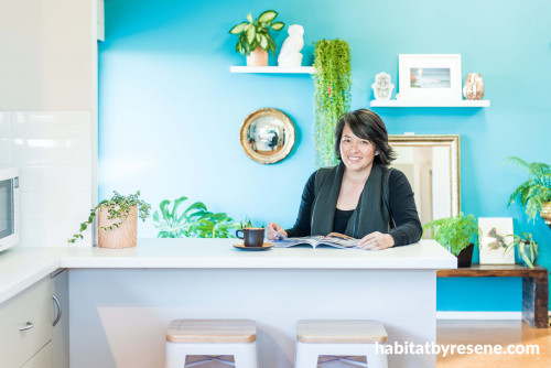 kitchen, blue kitchen, blue feature wall, bright blue interior, bright kitchen