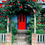 red door, front door, painted exterior, archway entrance, blue paint, read paint, exterior entrance
