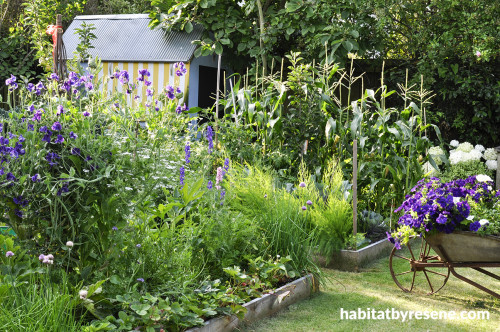 potager garden