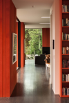 Timber: treat it right