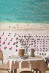 Beachy looks to bring to your bach