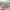 duck egg blue, living room, lounge, formal living rooms, formal sitting rooms, sitting rooms, design