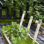 Garden, kids, children, DIY, plant tags, paint stirrers, green paint