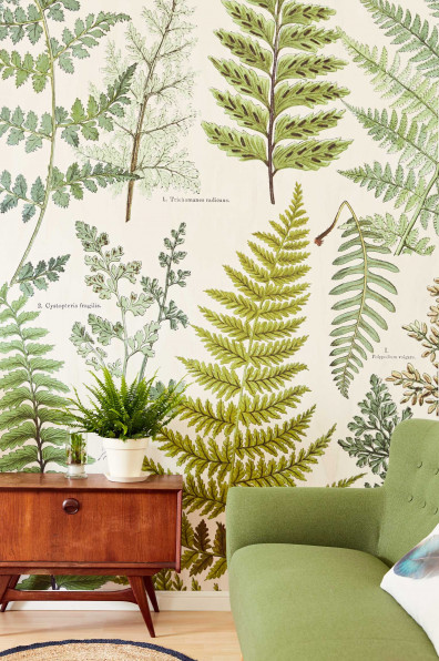 Trending: Natural walls you'll love Trending: Natural walls you'll love