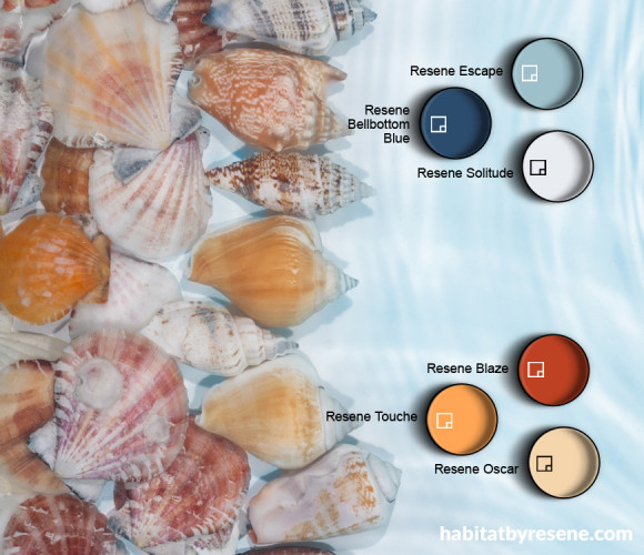 seashell colours, paint inspiration, blue decor, sea inspired