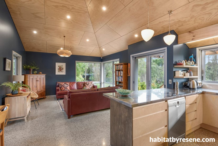 living room, kitchen, open plan living, blue living room, plywood ceilings, plywood interior