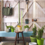 rustic, shed, blue paint, outdoor, gardening shed, green paint