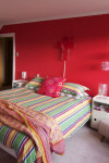 Jeff and Alex's Spectacularly Colourful Christchurch Bungalow