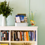 retro bach, holiday home, bookshelf, bookcase, turquoise paint