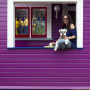 purple house, purple exterior, painted weatherboards, bright house, back porch