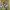 villa, renovation, garden, painted weatherboards, house exterior, yellow exterior, neutrals 