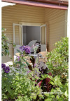 villa, renovation, garden, painted weatherboards, house exterior, yellow exterior, neutrals 