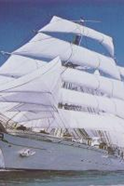How to get the high seas style