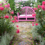 garden, garden seat, courtyard, pink seat, pink paint, exterior, pink garden