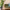 Sitting Room, Living Room, Indoor Plant, Couch, Neutrals, Resene