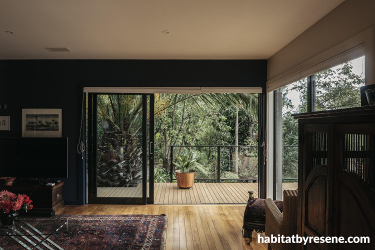 blue living room, blue lounge, blue feature wall, resene midnight express, stained deck