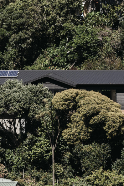 Deborah and Stuart’s remarkable rebuild is a cut above Deborah and Stuart’s remarkable rebuild is a cut above