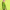 Resene fashion, Resene paint, fashion colours, Resene kakapo