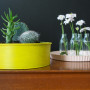 diy project, upcycling homeware, diy cake tin, pot plants, diy planters, upcycling bakeware 