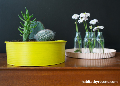 diy project, upcycling homeware, diy cake tin, pot plants, diy planters, upcycling bakeware 