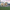 house exterior, bungalow exterior, renovated bungalow, grey exterior, grey house, resene foggy grey