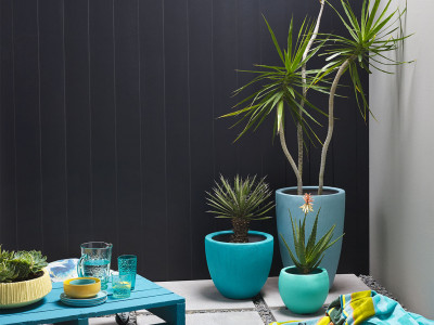 Let’s lead you up the garden path – beautiful outdoor looks Let’s lead you up the garden path – beautiful outdoor looks