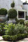 Paul's tour-worthy garden design