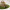 painted dog house, dog home, paint ideas 