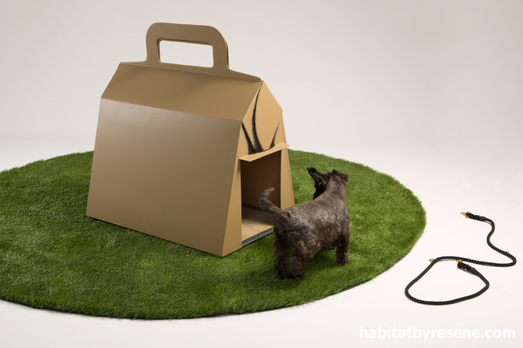 painted dog house, dog home, paint ideas