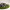 dog house, painted dog house, geometric pattern, paint ideas, resene paint 